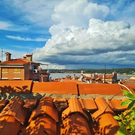 Grisia 26 Apartment Rovinj Dış mekan fotoğraf