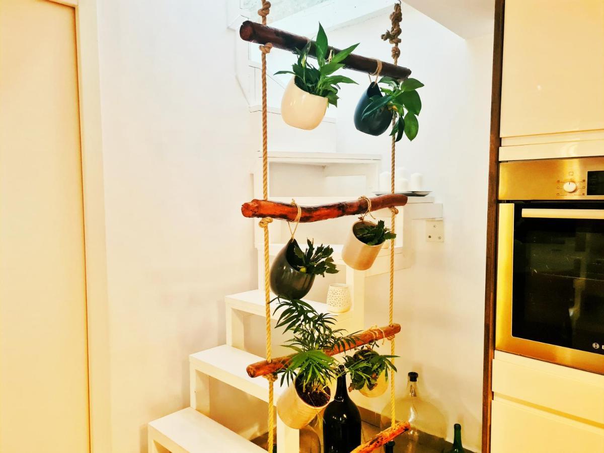 Grisia 26 Apartment Rovinj Dış mekan fotoğraf